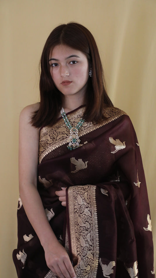 Akasa Saare
